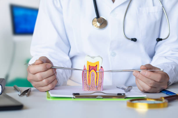 Best Emergency Root Canal Treatment in Diamondhead, MS